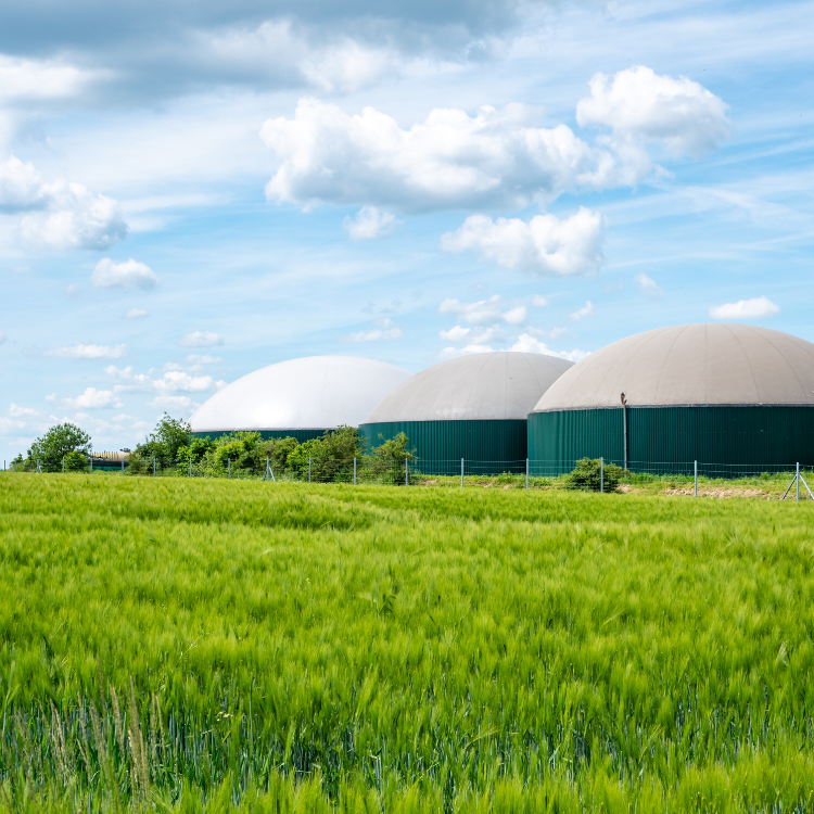 biogas-loading-arms